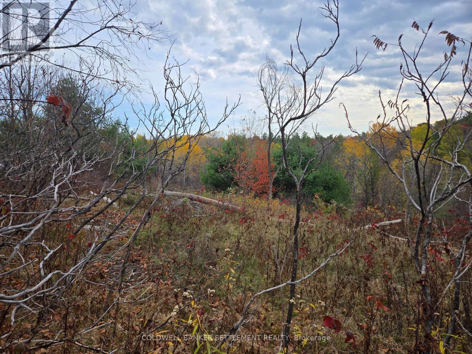 0 Cranberry Lake Road, Frontenac (Frontenac Centre), ON