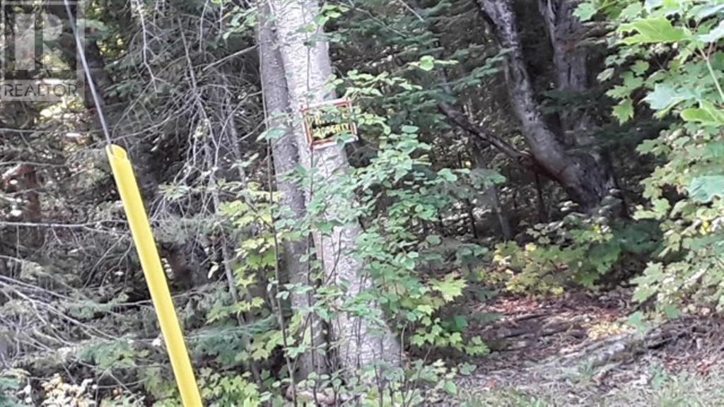 000 Hwy 563, Batchawana Bay, ON