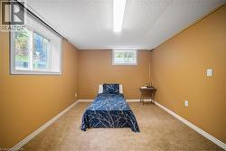 Living area featuring carpet flooring and a textured ceiling -