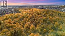 Aerial view at dusk -