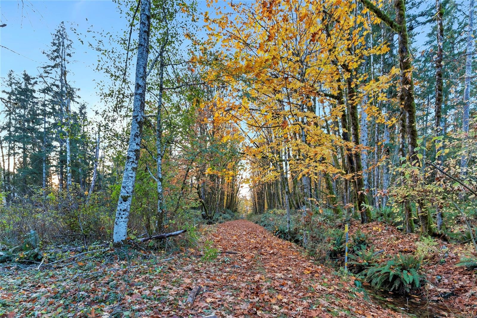 8105 Miracle Close, Youbou, BC