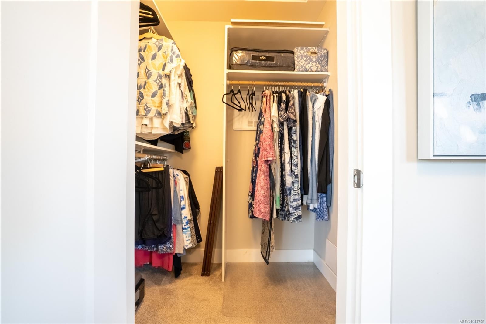 812 Mann Ave, Saanich, BC - Indoor With Storage