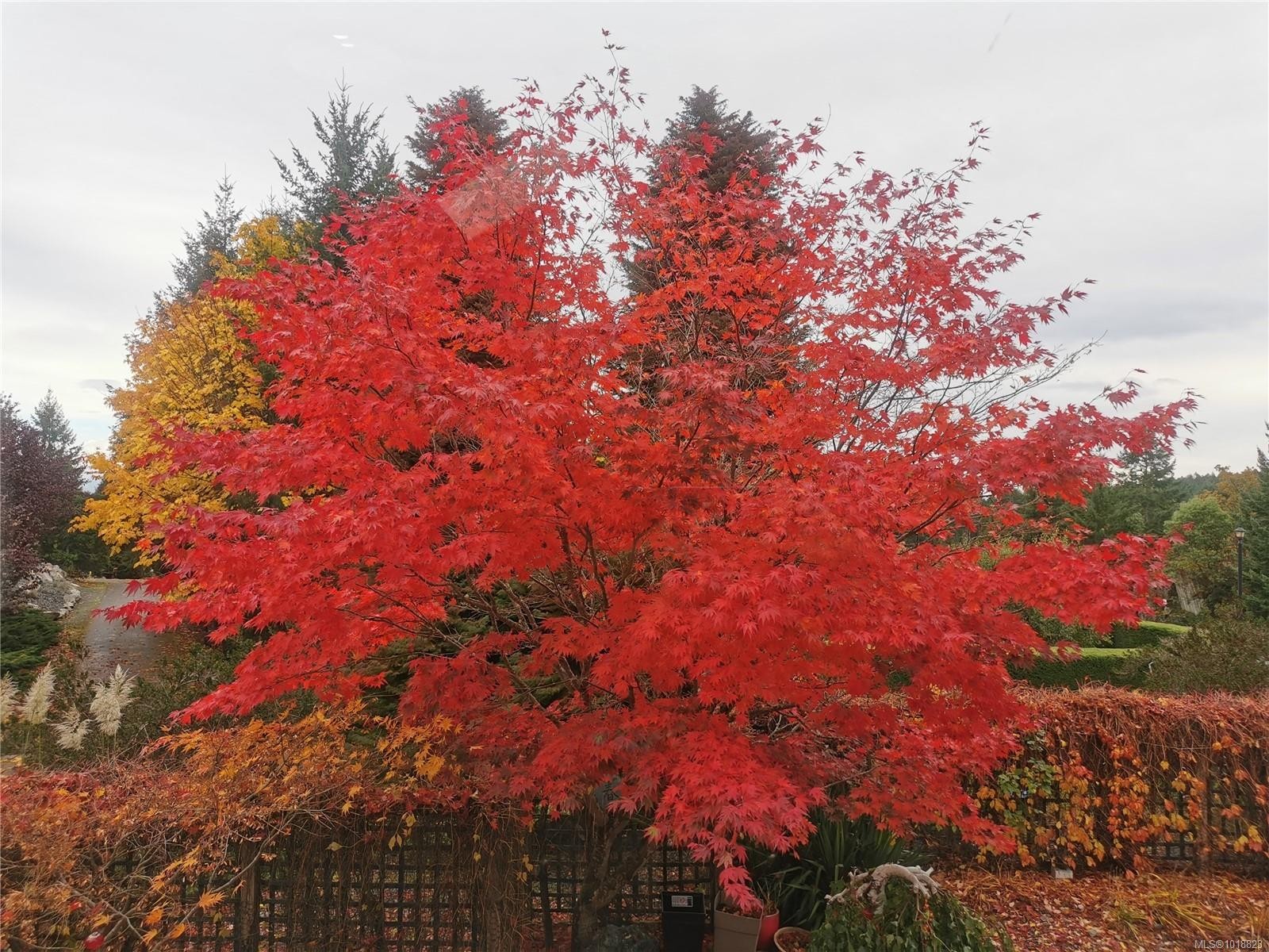 2375 Glenellen Pl, Nanoose Bay, BC