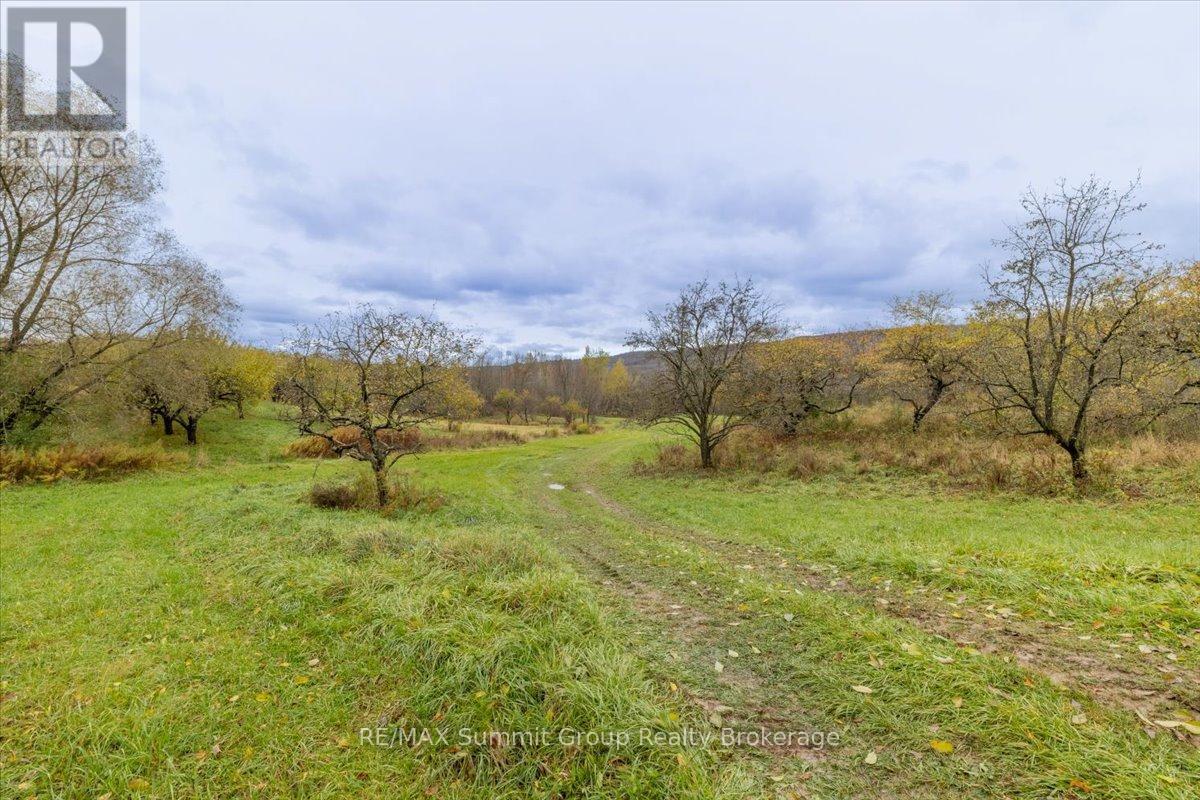 235274 Grey Road 13, Grey Highlands, ON - Outdoor With View