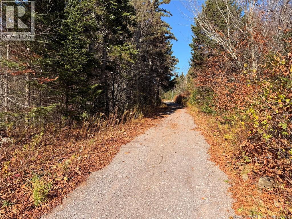 711 Big Salmon River Road, St. Martins, NB