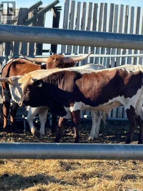 Kot Ranch, Hart Butte Rm No. 11, SK