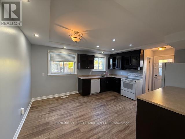 17 Vincent Crescent S, London South (South Q), ON - Indoor Photo Showing Kitchen