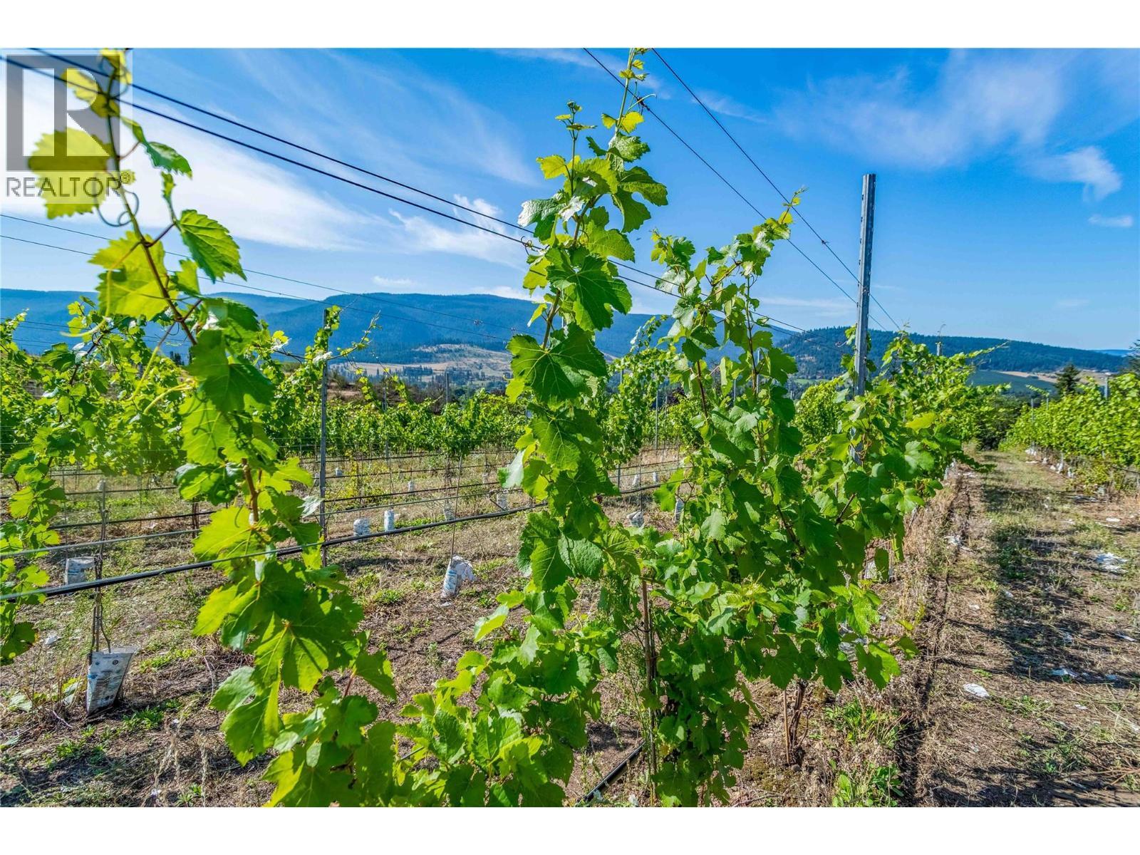 Over 16 acres of Agriculture Land - 9269 Highway 6, Coldstream, BC