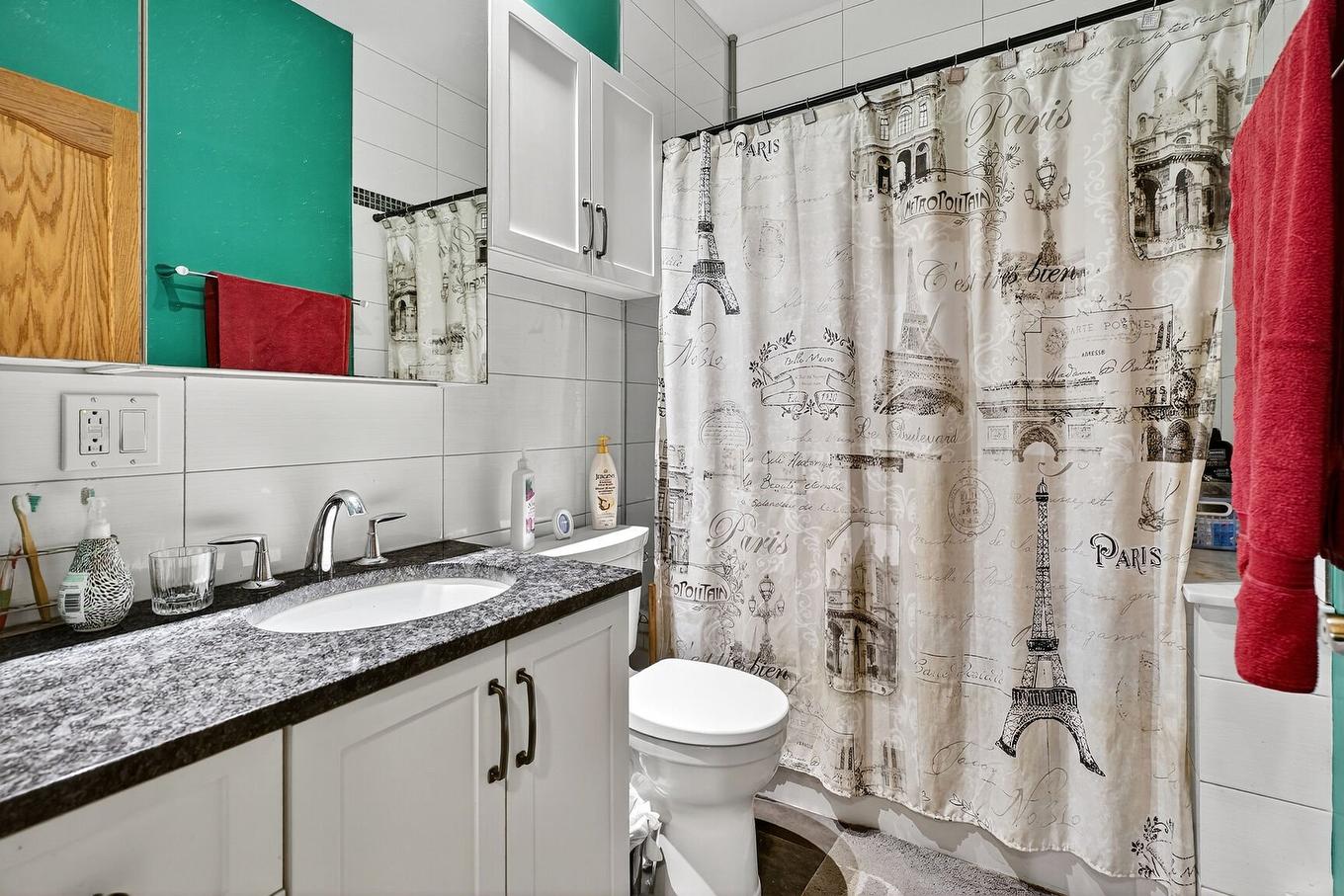 Bathroom - 6875 - 6879 Rue Fabre, Montréal (Rosemont/La Petite-Patrie), QC - Indoor Photo Showing Bathroom