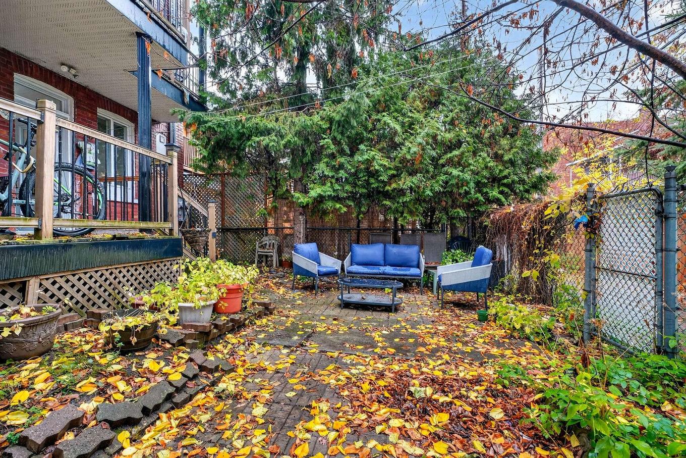 Backyard - 6875 - 6879 Rue Fabre, Montréal (Rosemont/La Petite-Patrie), QC - Outdoor