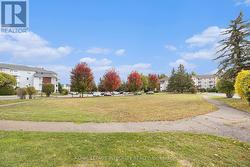 Outdoor area in Lorry Greenberg -