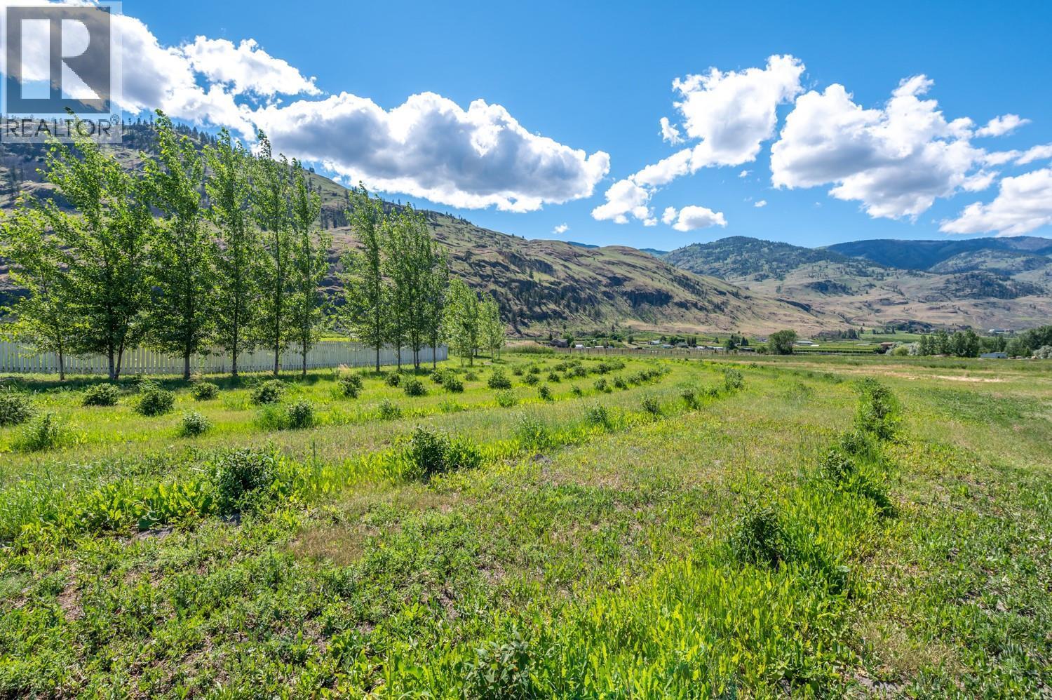 294 Road 18 Road, Oliver, BC - Outdoor With View