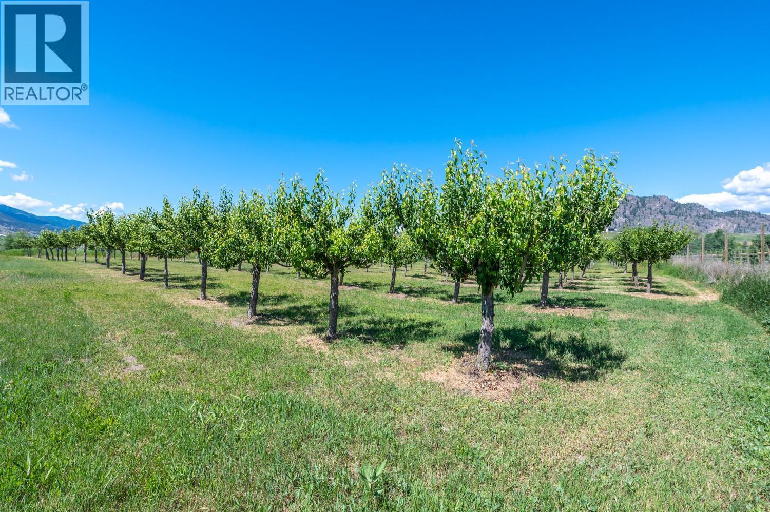 294 Road 18 Road, Oliver, BC - Outdoor With View