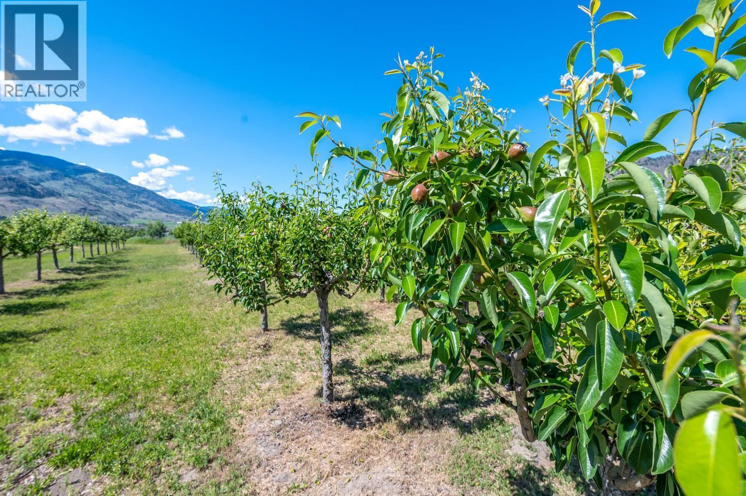 294 Road 18 Road, Oliver, BC - Outdoor