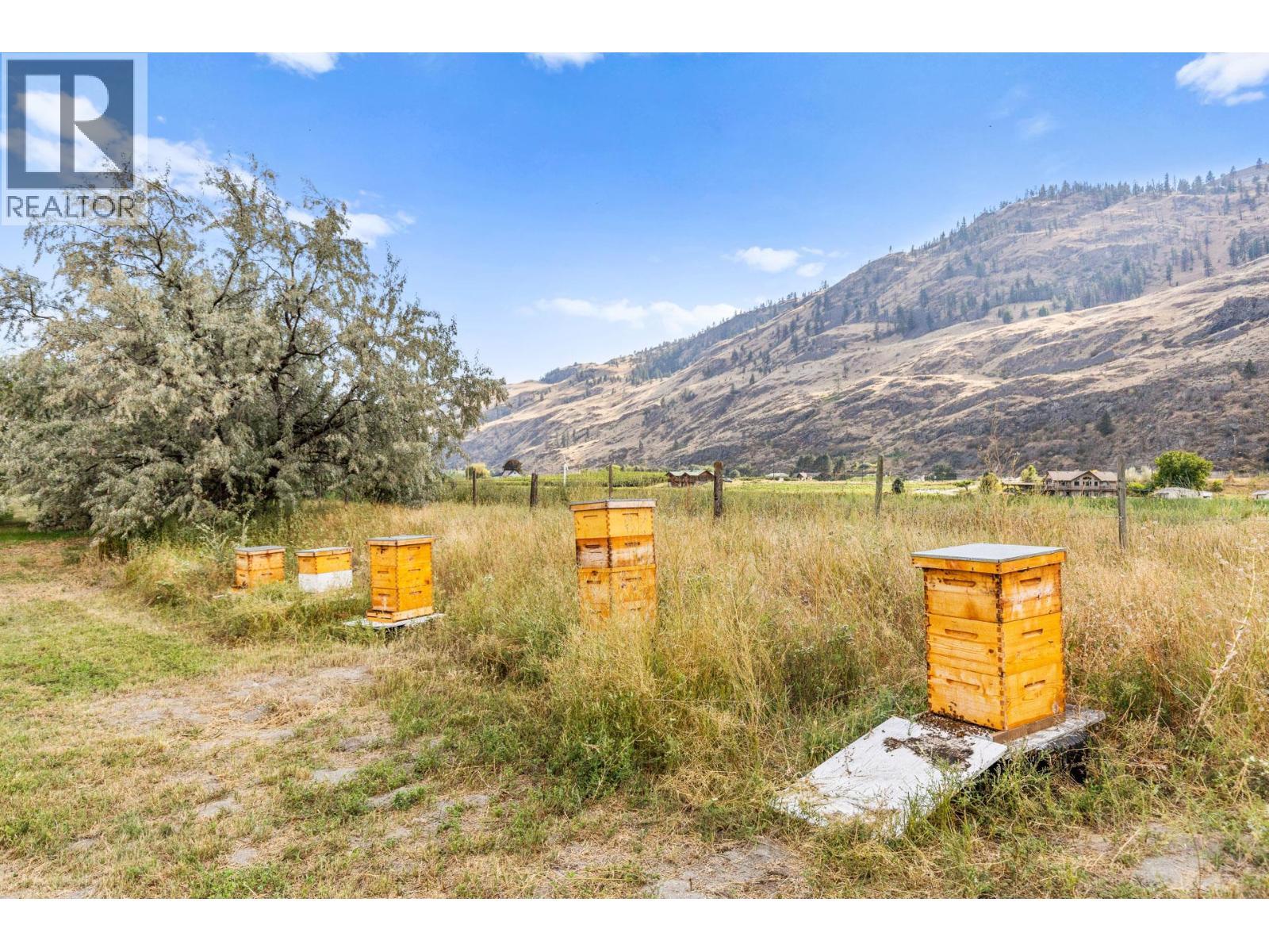 294 Road 18 Road, Oliver, BC - Outdoor With View