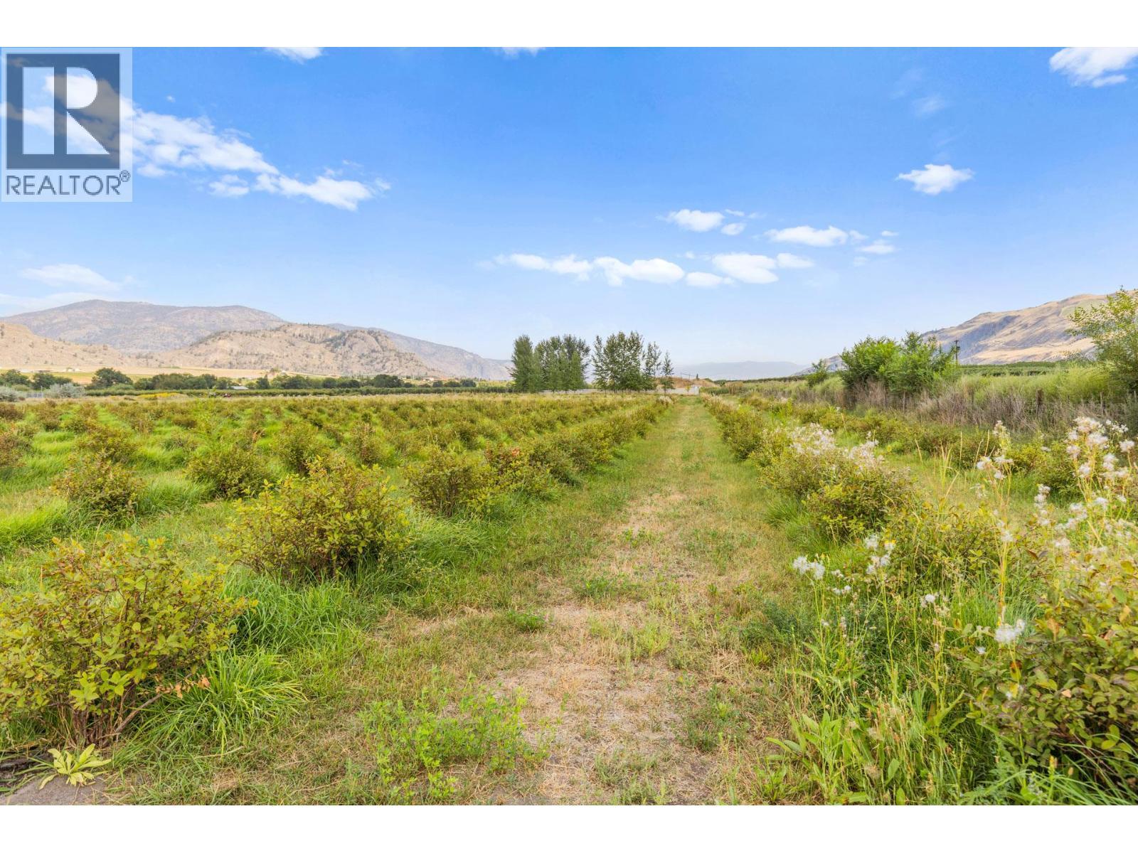 294 Road 18 Road, Oliver, BC - Outdoor With View