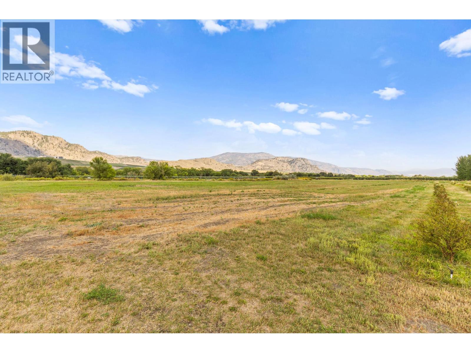 294 Road 18 Road, Oliver, BC - Outdoor With View