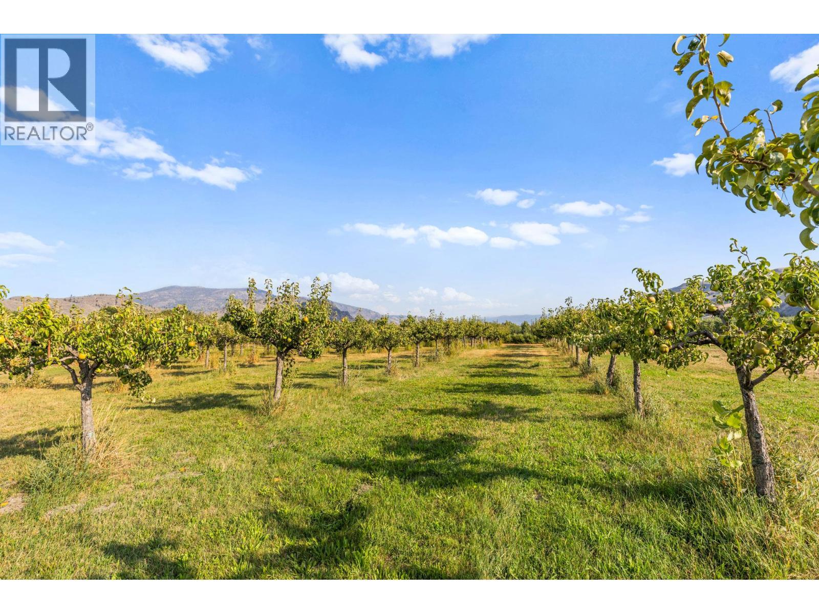 294 Road 18 Road, Oliver, BC - Outdoor With View