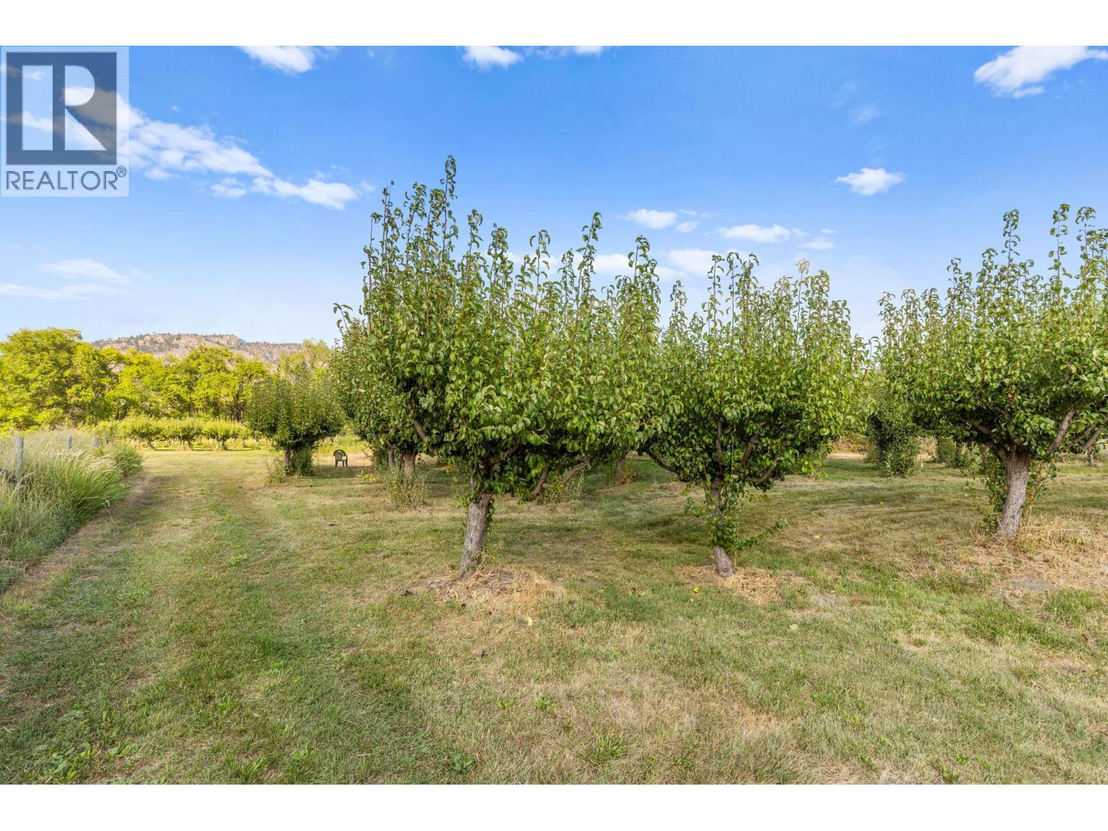 294 Road 18 Road, Oliver, BC - Outdoor With View