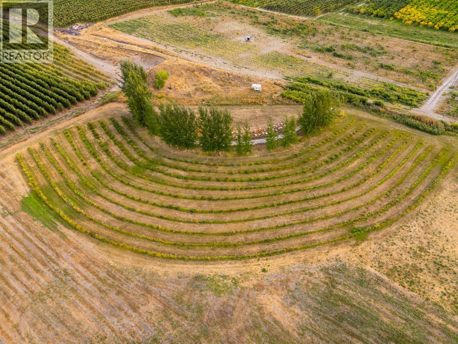 294 Road 18 Road, Oliver, BC - Outdoor With View