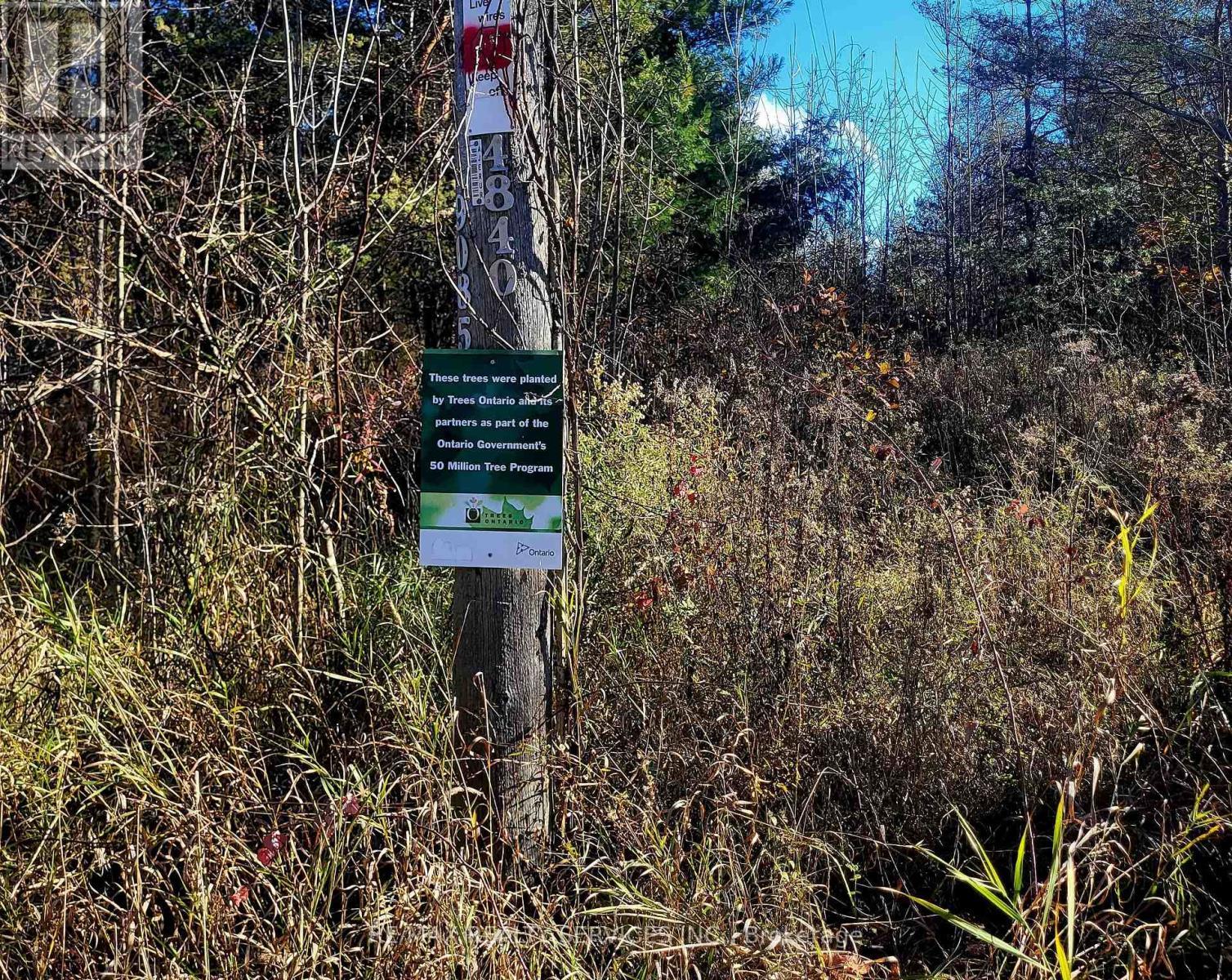 395421 Concession 2 Road, Chatsworth, ON