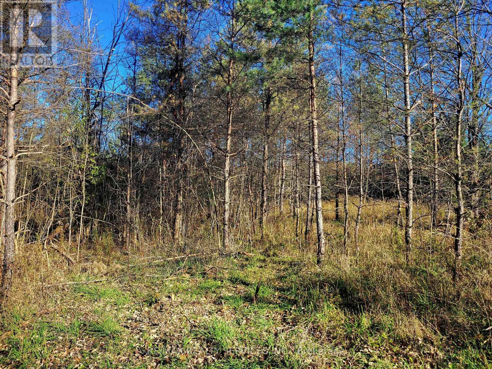 395421 Concession 2 Road, Chatsworth, ON