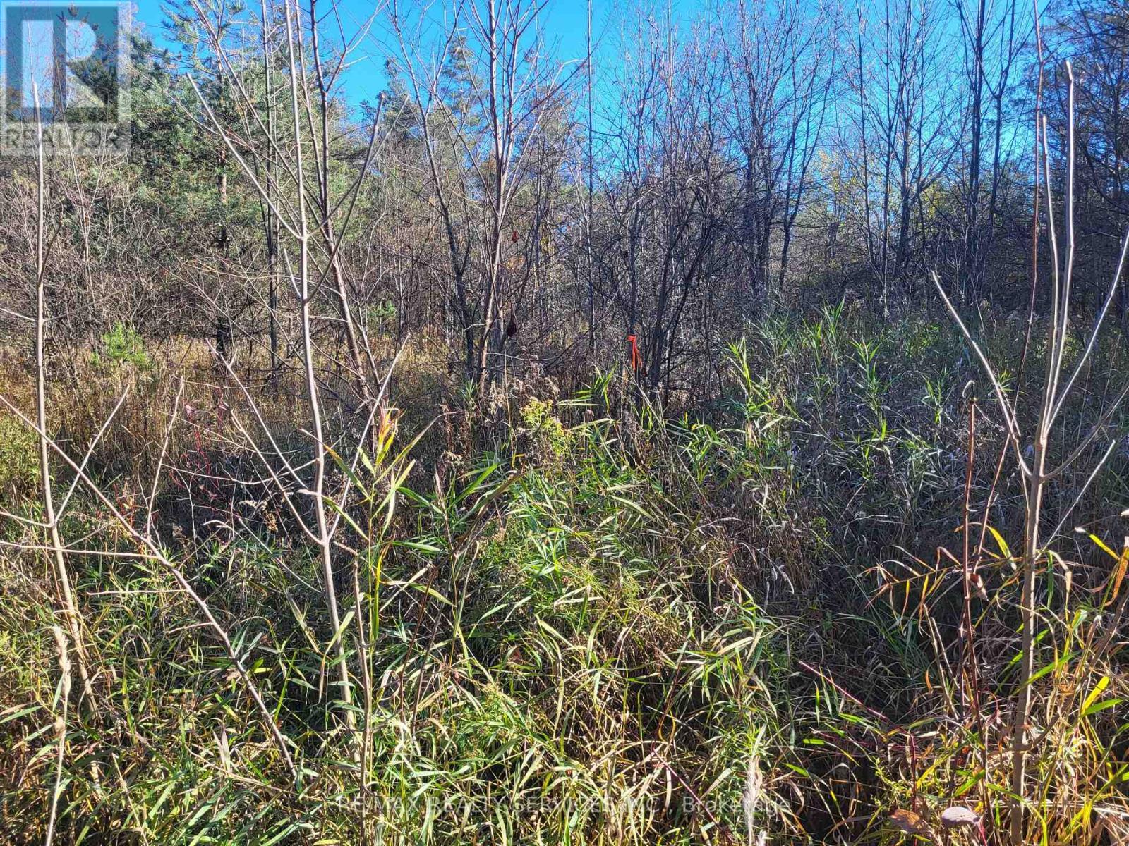 395421 Concession 2 Road, Chatsworth, ON