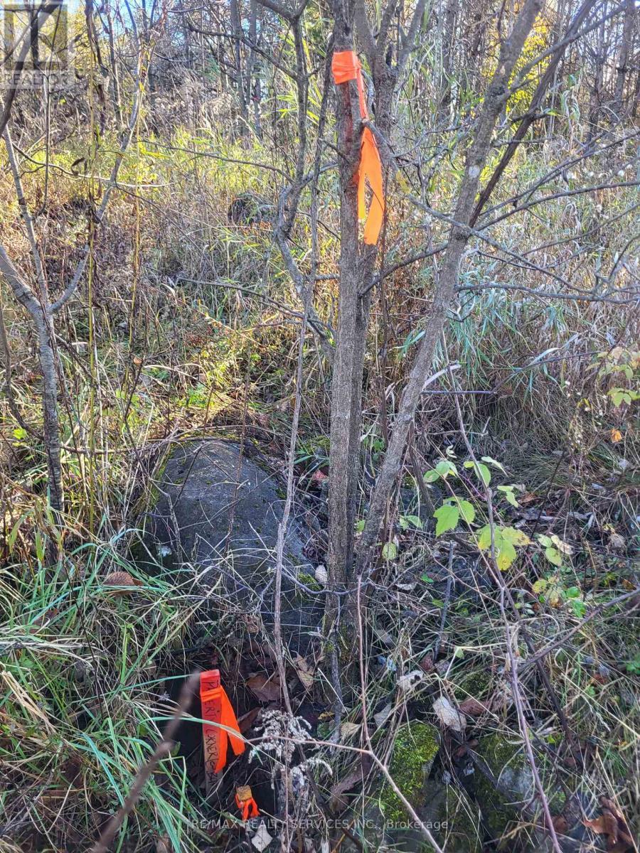 395421 Concession 2 Road, Chatsworth, ON