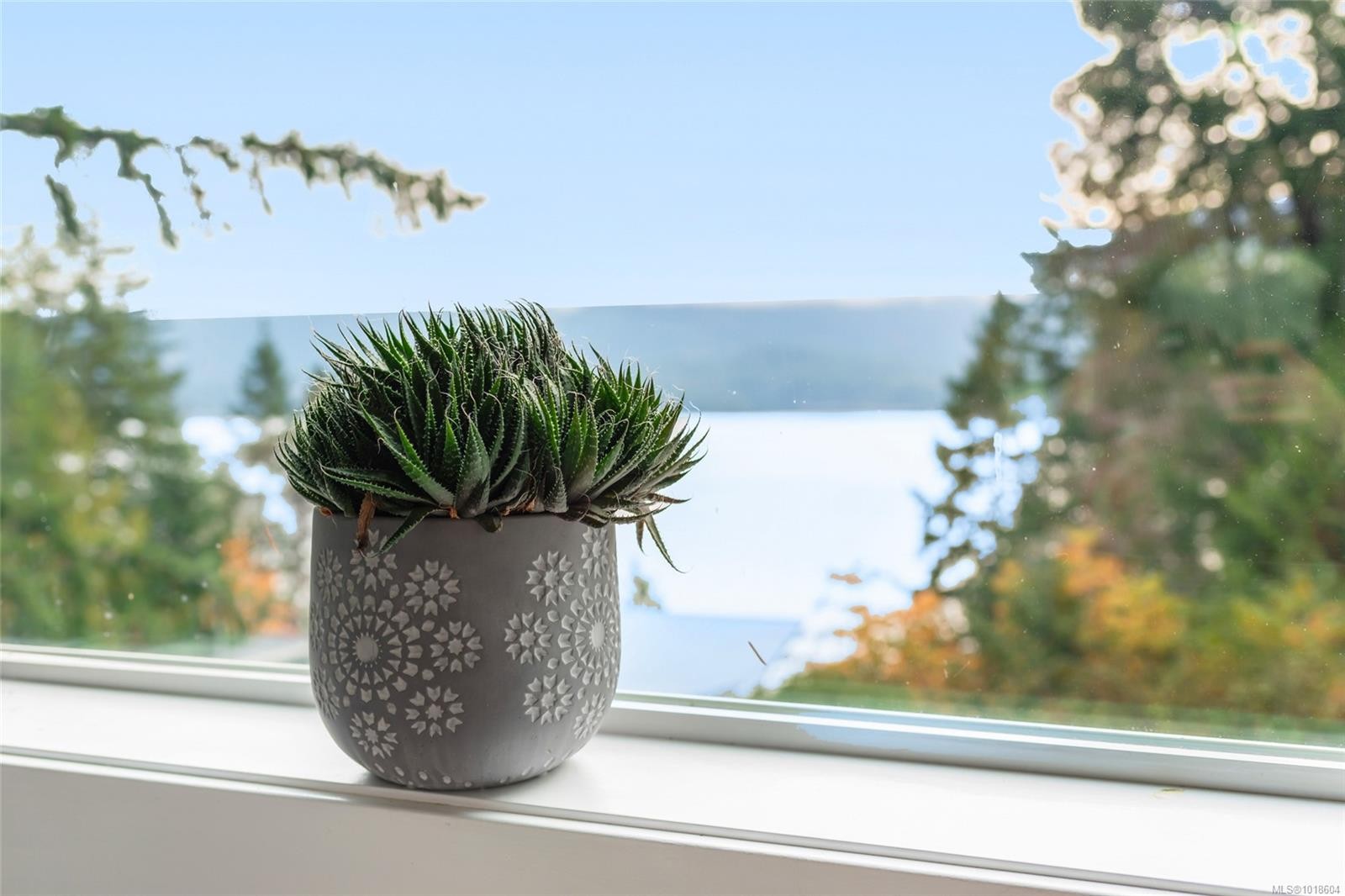 10550 Asher Rd, Port Alberni, BC