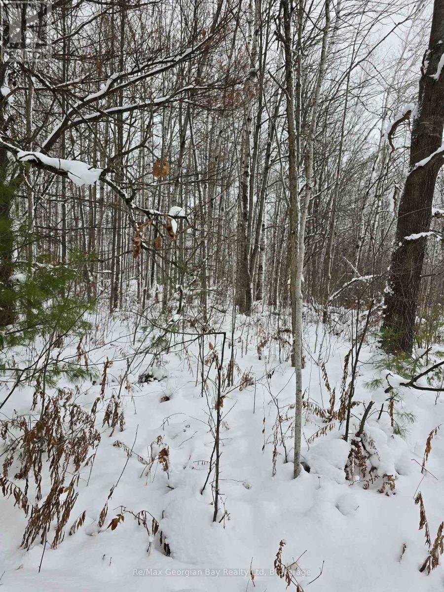 1666 Balkwill Line, Severn (Coldwater), ON