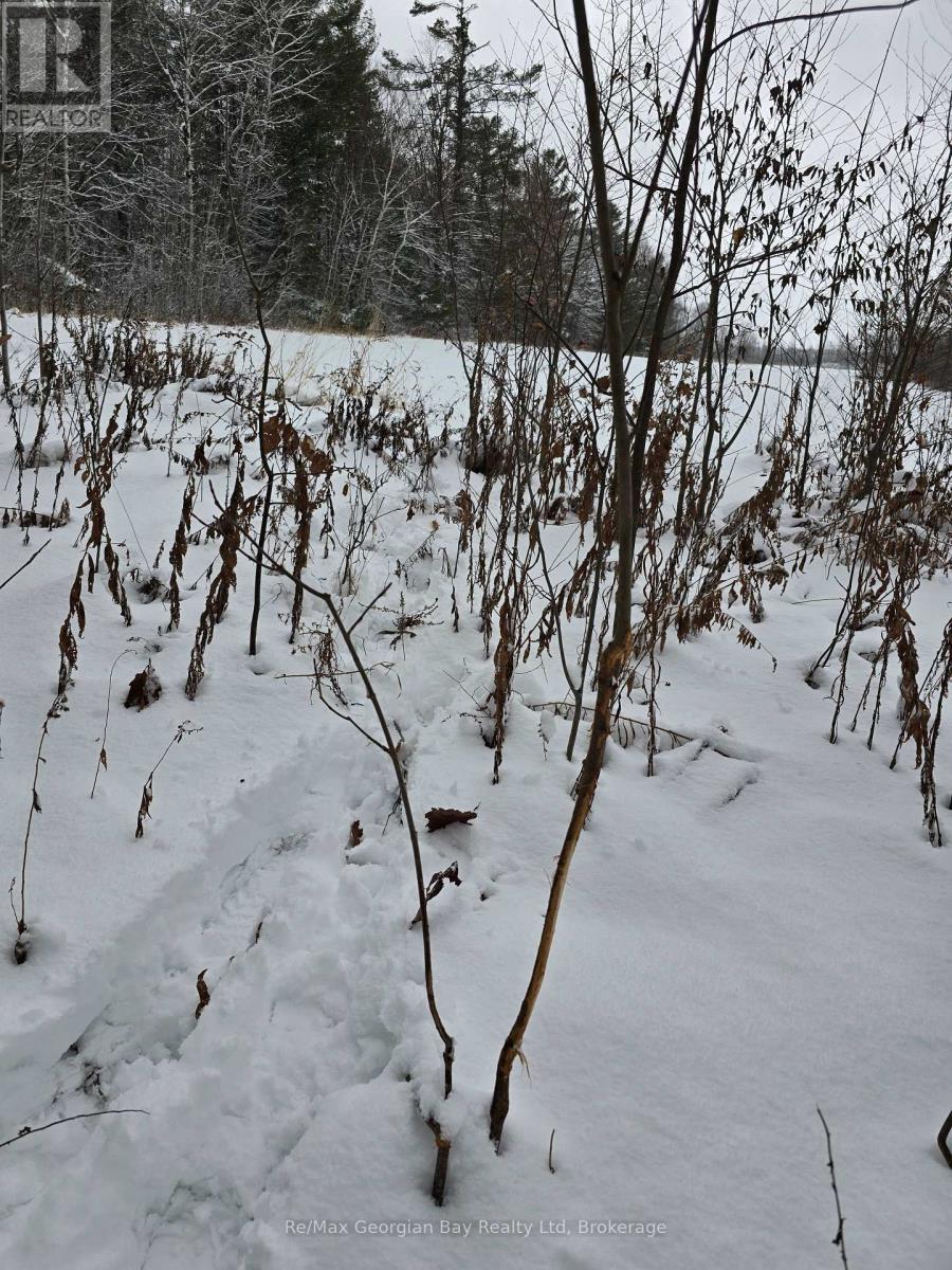 1666 Balkwill Line, Severn (Coldwater), ON