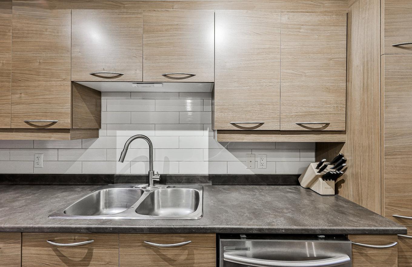 Kitchen - 103-2405 Rue Versailles, Mascouche, QC - Indoor Photo Showing Kitchen With Double Sink
