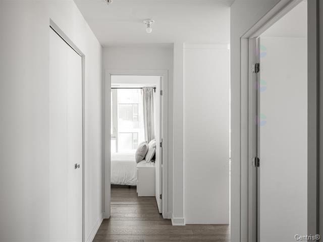 Mud Room - 1703-1160 Rue Mackay, Montréal (Ville-Marie), QC - Indoor Photo Showing Other Room