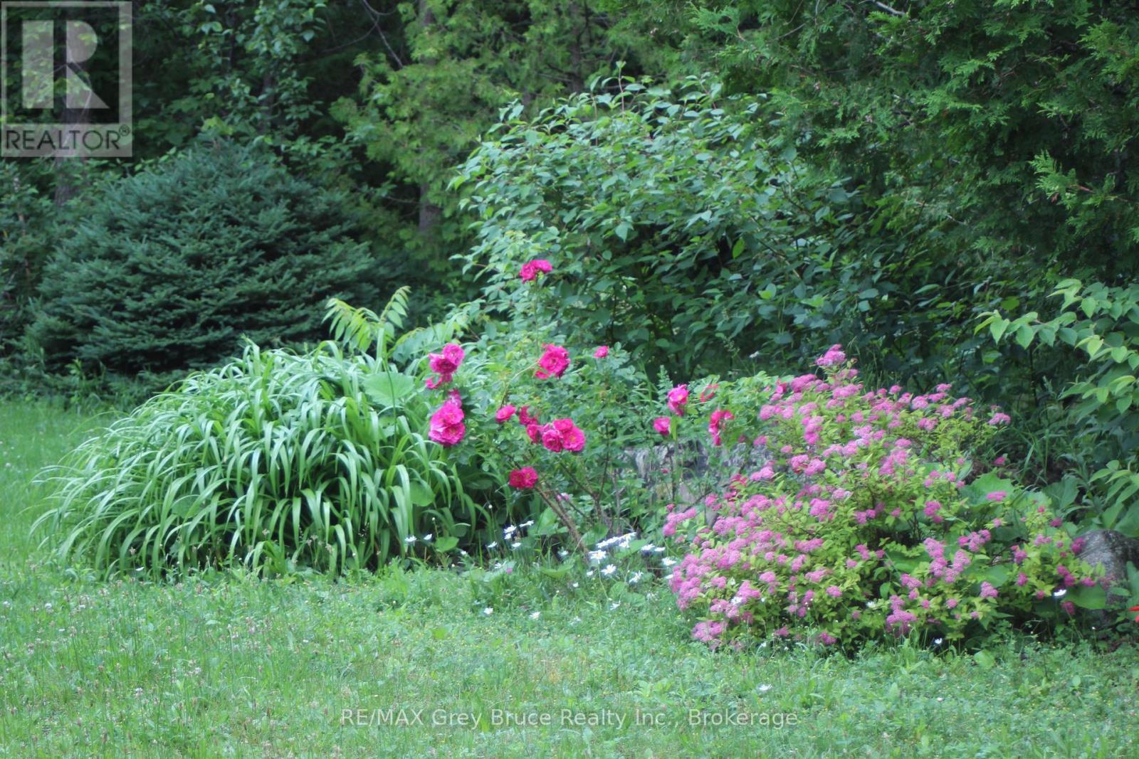 20 Maple Drive, Northern Bruce Peninsula, ON - Outdoor