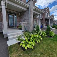 Landscaped front yard -