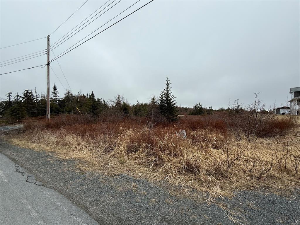 163 Ridge Road, Spaniards Bay, NL