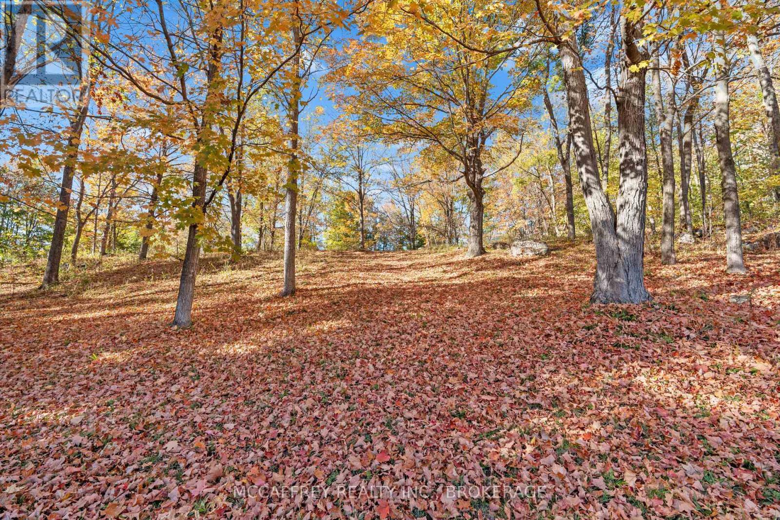 51 Luffman Road, Tweed (Hungerford (Twp)), ON - Outdoor With View