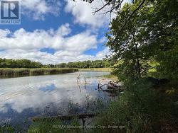 ... and access to the pond -