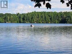 Peaceful tranquil Pike Lake -