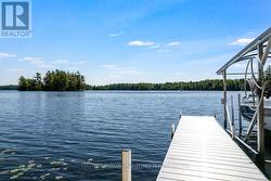 Approx 5 ft deep at end of dock -