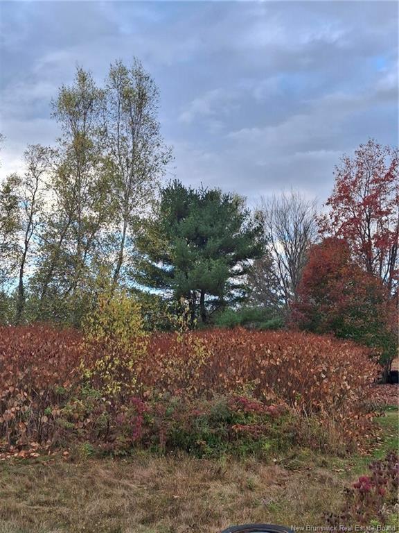 379 Lower Durham Rd, Durham Bridge, NB