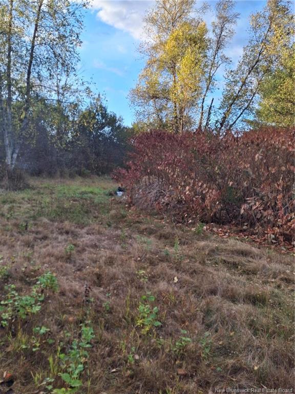 379 Lower Durham Rd, Durham Bridge, NB