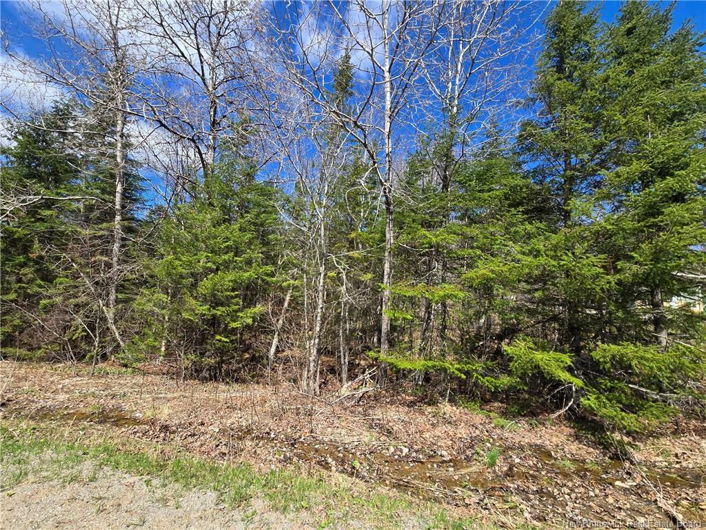 318 Ketchum Rd, Kingston, NB