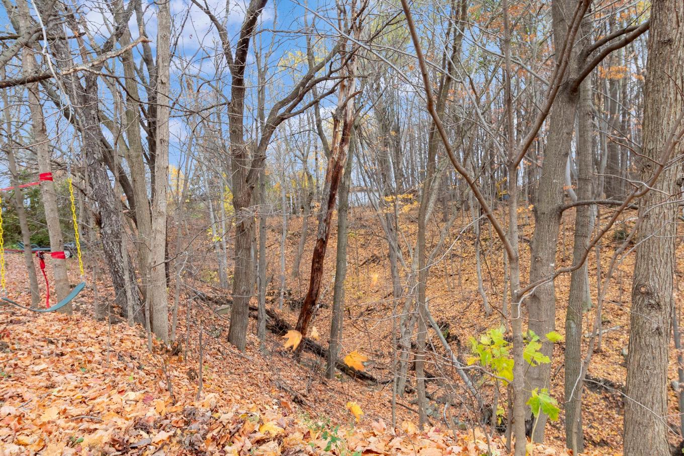 Boisé - 200 Rg St-Étienne, Saint-Placide, QC - Outdoor With View