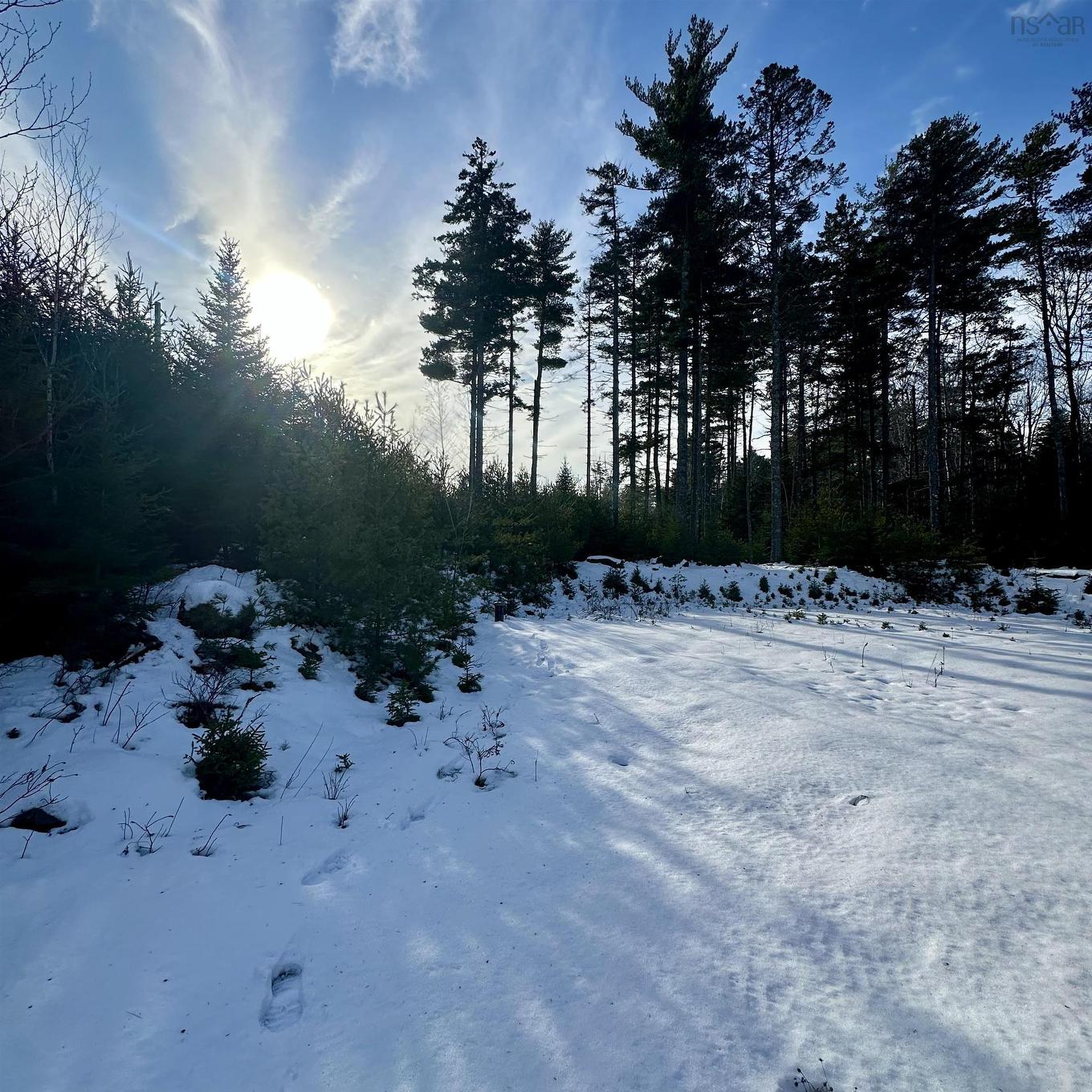 75 Danica Drive, Pine Grove, NS