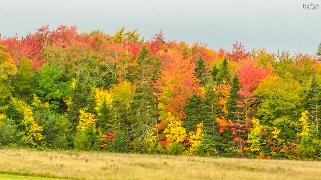10353 Marble Mountain Road, Orangedale, NS