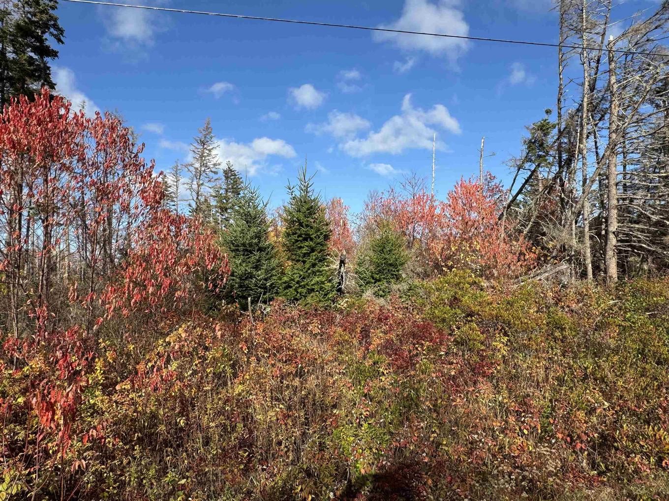 Lot Willow Lane, Priest Pond, PE