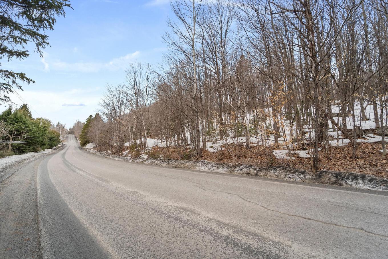 Cour - 1595 Ch. Du Lac-Des-Becs-Scie O., Saint-Sauveur, QC - Outdoor With View