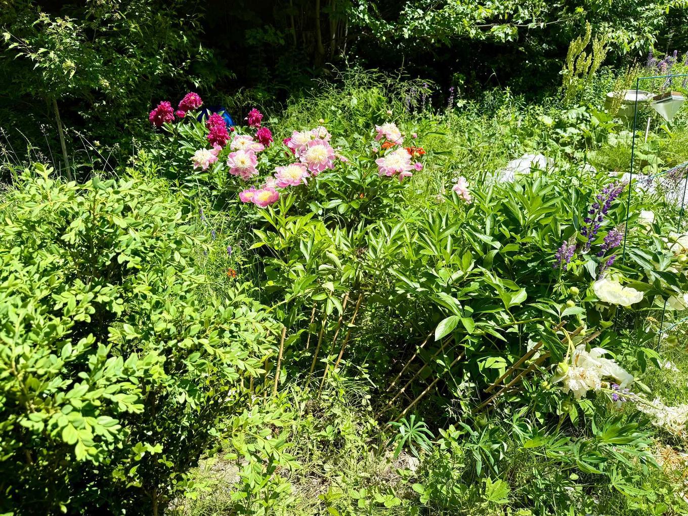 Autre - 1595 Ch. Du Lac-Des-Becs-Scie O., Saint-Sauveur, QC - Outdoor