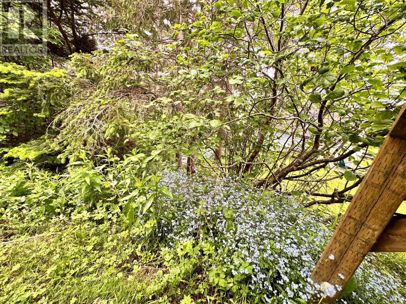 15 Dunford Place, Marystown, NL - Outdoor